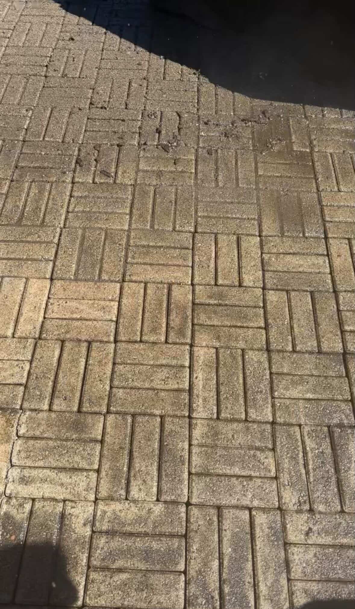 Patio avant restauration — pavé herringbone sale